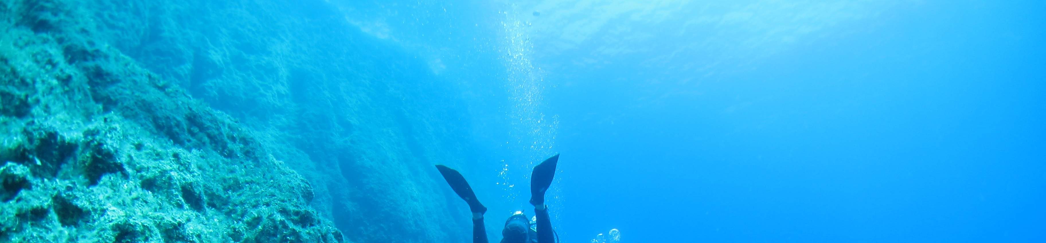 PADI進階開放水域潛水員【線上學習】